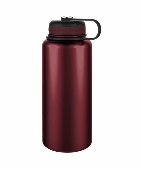 Insulated Water Bottle
