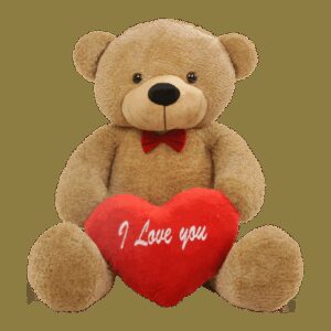 "I Love You" Teddy Bear with Heart